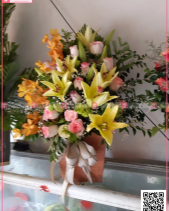 Sắc Hương - belovedbeyond.com