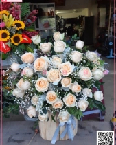 Thu Về - belovedbeyond.com