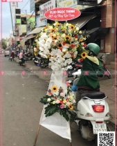 Thanh Khiết - belovedbeyond.com