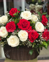 May Mắn - belovedbeyond.com