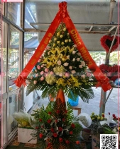 Khởi Sắc - belovedbeyond.com