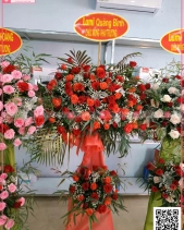 Vươn Xa - belovedbeyond.com