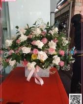 Tình Nồng - belovedbeyond.com