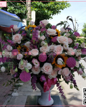 Nắng Hạ - belovedbeyond.com