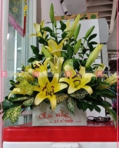 Nồng Nàn - belovedbeyond.com