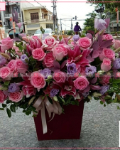 Dịu Dàng - belovedbeyond.com