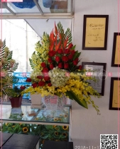 Khởi Sắc - belovedbeyond.com