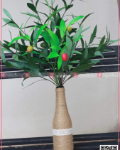 Toả Nắng - belovedbeyond.com