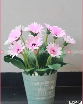 Tình Đầu - belovedbeyond.com