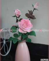 Ngọt Ngào - belovedbeyond.com