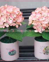 Mùa Yêu - belovedbeyond.com
