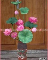 Lãng Mạng - belovedbeyond.com