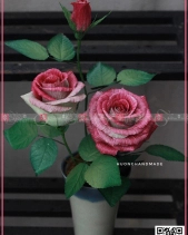 Toả Nắng - belovedbeyond.com