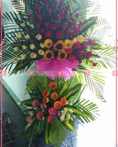 Sức Sống - belovedbeyond.com