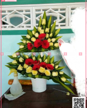 May Mắn - belovedbeyond.com