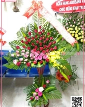 Thanh Khiết - belovedbeyond.com