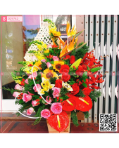 Đông Sang - belovedbeyond.com