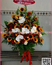 Toả Nắng - belovedbeyond.com