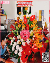 Đông Sang - belovedbeyond.com