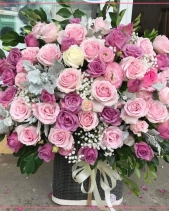 Hy Vọng - belovedbeyond.com
