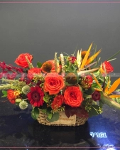 Tình Nồng - belovedbeyond.com