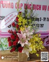 Cảm Ơn - belovedbeyond.com