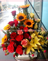 Trọn Vẹn - belovedbeyond.com