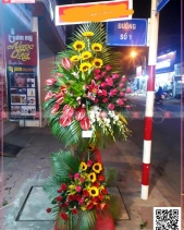 Khởi Sắc - belovedbeyond.com