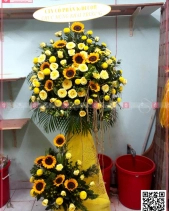 Sức Sống - belovedbeyond.com