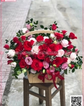 Rực Rỡ - belovedbeyond.com