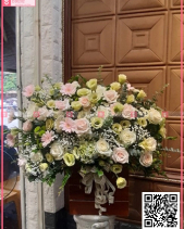 Đông Sang - belovedbeyond.com