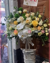 Nồng Nàn - belovedbeyond.com