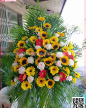 Hy Vọng - belovedbeyond.com