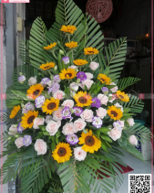 Sức Sống - belovedbeyond.com