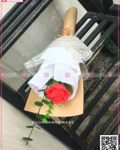 Roses Ecuador - belovedbeyond.com