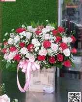 Mùa Yêu - belovedbeyond.com