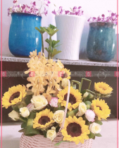 May Mắn - belovedbeyond.com