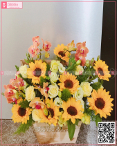 Thành Công - belovedbeyond.com
