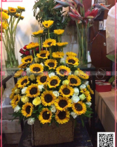 Khát Khao - belovedbeyond.com