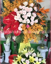 May Mắn - belovedbeyond.com
