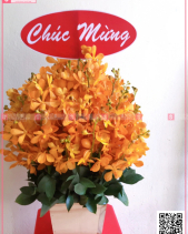 Vươn Xa - belovedbeyond.com