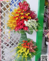 Kệ Hoa Chúc Mừng 2 Tầng Phối Nhiều Lan - belovedbeyond.com