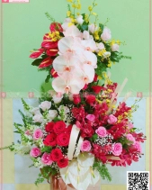 Hộp Hoa 2 Tầng - belovedbeyond.com