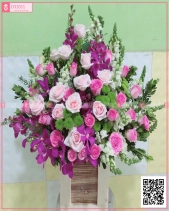 Hộp Hoa Chúc Mừng - belovedbeyond.com