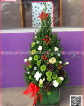 Chậu Thông Noel Bằng Hoa Lá Tươi - Mẫu 6 - belovedbeyond.com