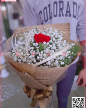 Bó Hoa Baby Hà Lan - belovedbeyond.com