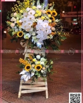 May Mắn - belovedbeyond.com