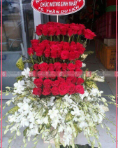 Sang Trọng - belovedbeyond.com