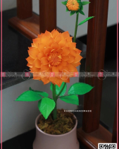 Thược Dược - belovedbeyond.com