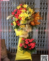 Hoa Chúc Mừng - belovedbeyond.com